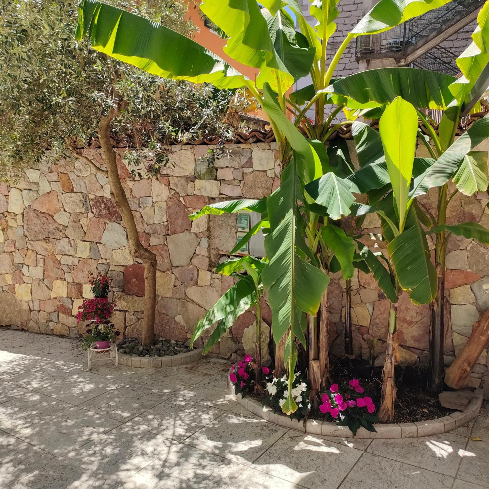 Garda Sweet Apartments Arco Exterior foto